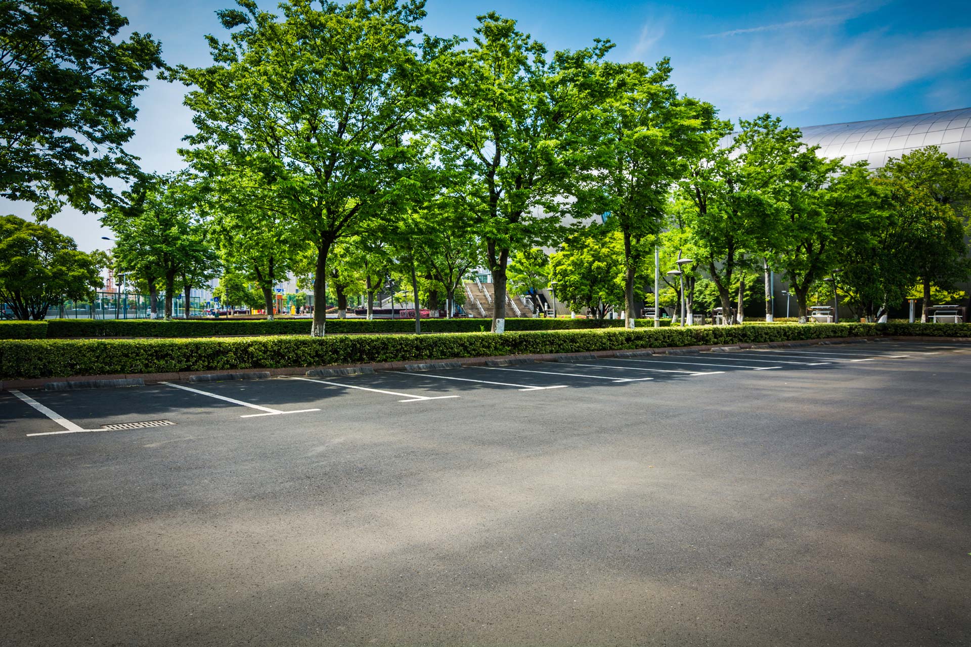 Asphalt car park with shade trees